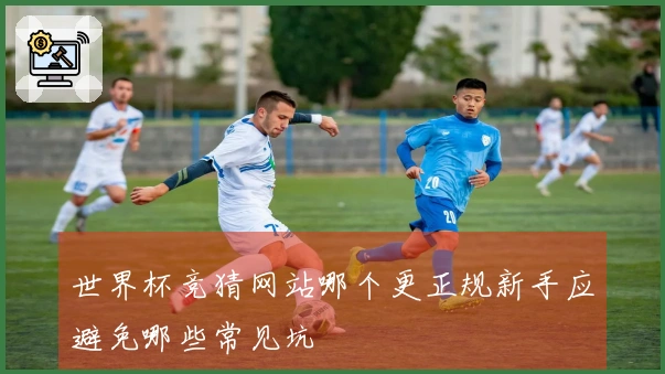 世界杯竞猜网站哪个更正规新手应避免哪些常见坑