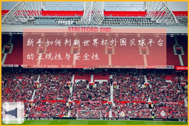 新手如何判断世界杯外围买球平台的正规性与安全性