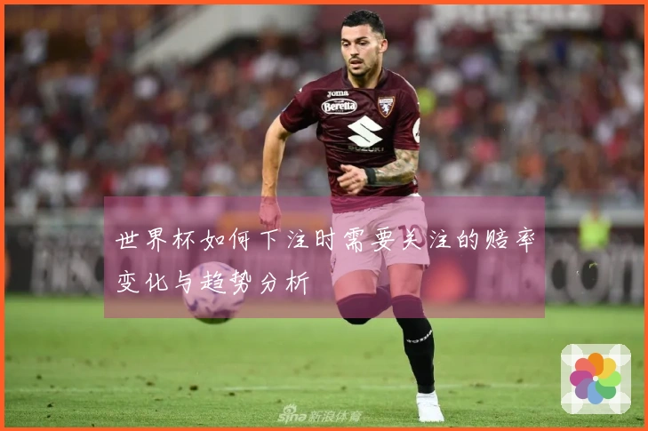 世界杯如何下注时需要关注的赔率变化与趋势分析