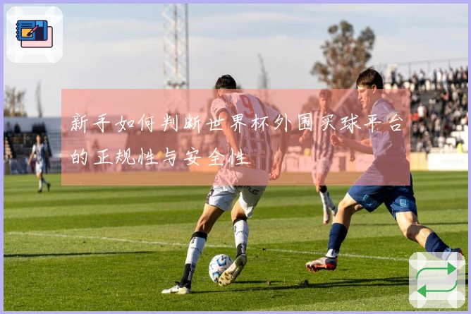 新手如何判断世界杯外围买球平台的正规性与安全性