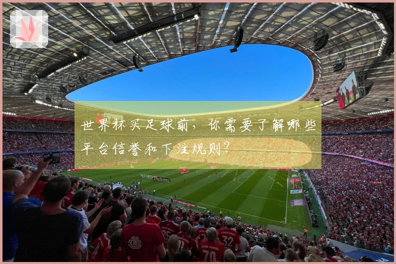 世界杯买足球前，你需要了解哪些平台信誉和下注规则？